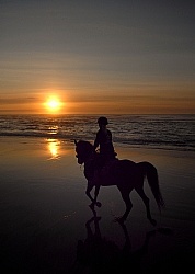 Riding on the beach at Sunset at Ricochet Ridge Ranch