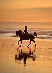 Riding on the beach at Sunset at Ricochet Ridge Ranch