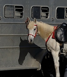 Ricochet Ridge Ranch