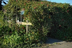 Ricochet Ridge Ranch Office