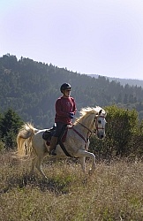 Riding at Simcha with Ricochet Ridge Ranch