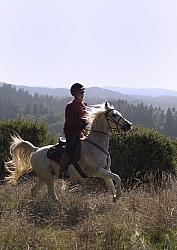 Riding at Simcha with Ricochet Ridge Ranch