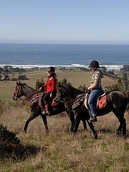Riding at Simcha with Ricochet Ridge Ranch