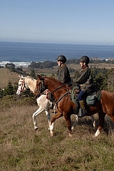 Riding at Simcha with Ricochet Ridge Ranch