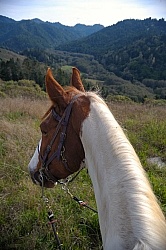 Riding at Simcha with Ricochet Ridge Ranch