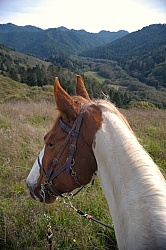 Riding at Simcha with Ricochet Ridge Ranch