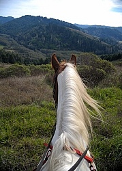 Riding at Simcha with Ricochet Ridge Ranch