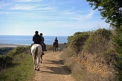 Riding at Simcha with Ricochet Ridge Ranch