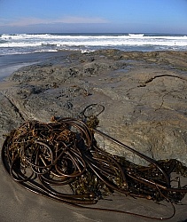 Ricochet Ranch Scenery at Ricochet Ridge Ranch