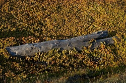 Ricochet Ranch Scenery at Ricochet Ridge Ranch