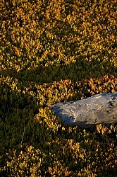 Ricochet Ranch Scenery at Ricochet Ridge Ranch