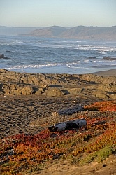 Ricochet Ranch Scenery at Ricochet Ridge Ranch