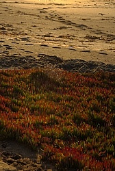 Ricochet Ranch Scenery at Ricochet Ridge Ranch