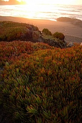 Ricochet Ranch Scenery at Ricochet Ridge Ranch