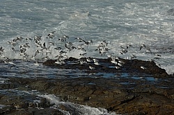 Ricochet Ranch Scenery and Wild Life at Ricochet Ridge Ranch