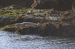Ricochet Ranch Scenery and Wild Life at Ricochet Ridge Ranch