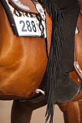 Quarter Horse Show Palgrave 2012 Western Show Turn Out