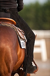 Western Show Turn Out