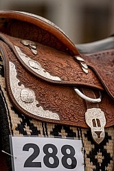  Western Show Turn Out