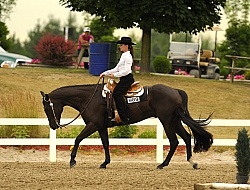 Western Show Turn Out