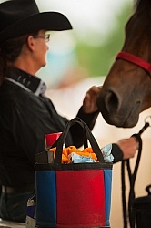 Horse Show Prep