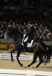 Steffen Peters and Ravel WEG 2010