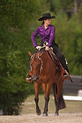 Horse Show General - Western