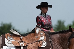 Horse Show General - Western