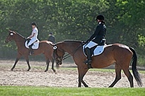Dressage Lower Level Warm Up Ring