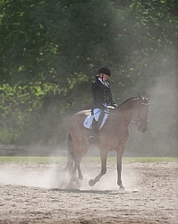 Dressage Lower Level Warm Up Ring