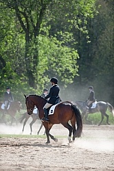 Dressage Lower Level Warm Up Ring
