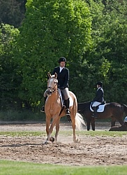 Dressage Lower Level Warm Up Ring