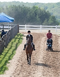 Horse Show General English