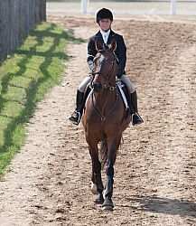 Horse Show General English