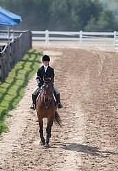 Horse Show General English