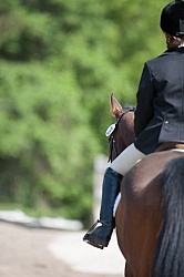 Horse Show General English