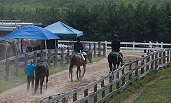Horse Show General English