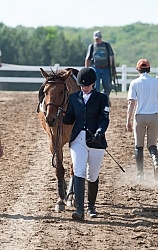 Horse Show General English