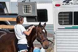 Braiding at Horse Show