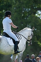 Dressage Lower Level