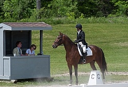 Dressage Lower Level Showing
