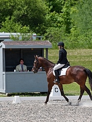 Dressage Lower Level in Ring