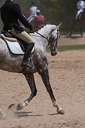 Dressage Warm Up Area