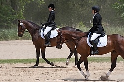 Dressage Warm Up Area