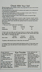 First Aid Kit Basic Info Sheet
