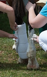 Poulticing Poulticing