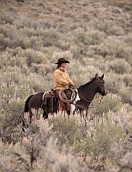 Trail Riding at5 Sombrero Ranch
