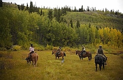On the Trail - Yukon Pack Trip