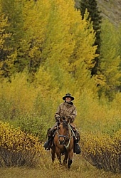 On the Trail - Yukon Pack Trip
