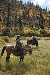 On the Trail - Yukon Pack Trip